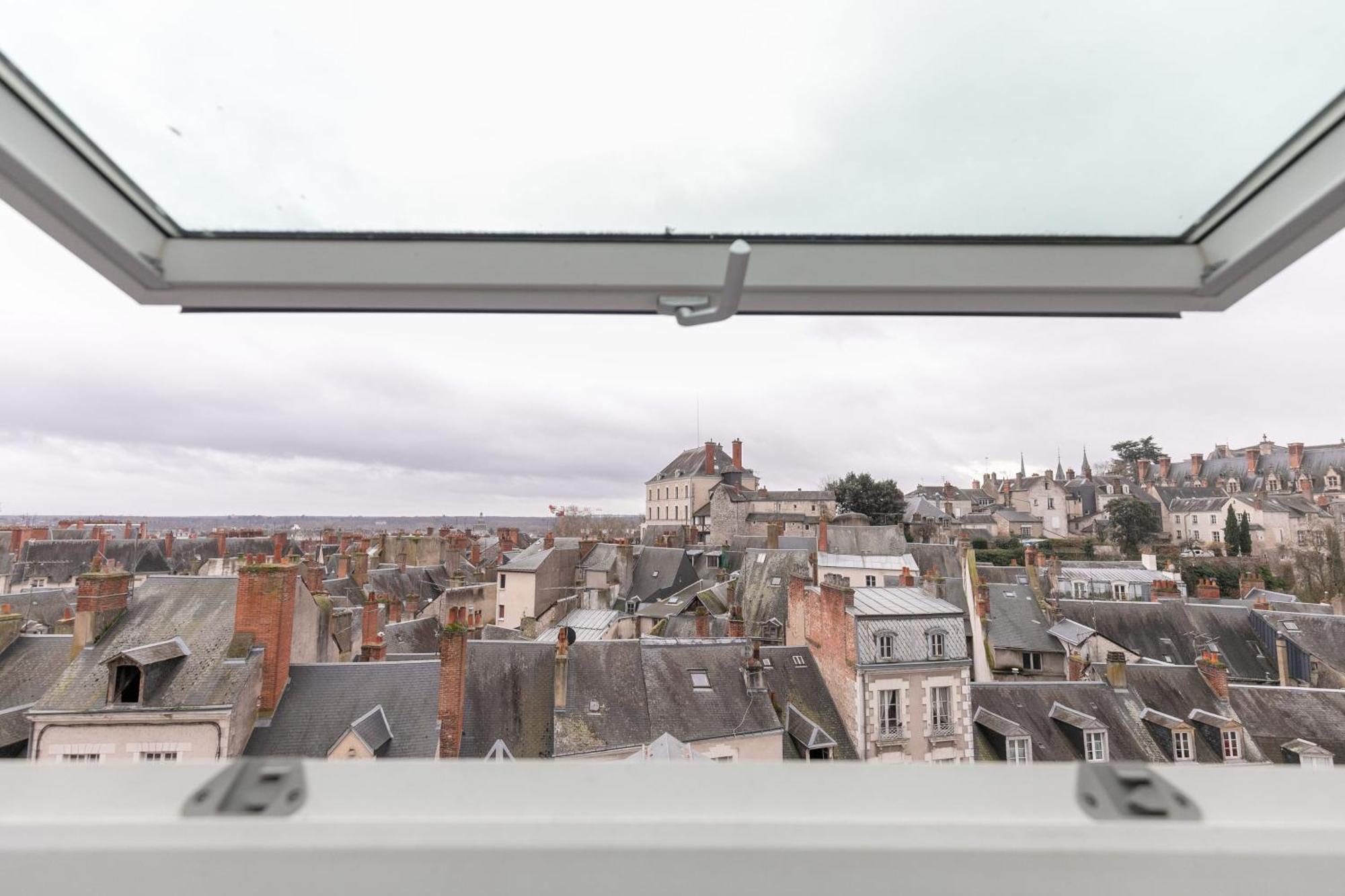 Le Nid De Saint Honore - Sur Les Toits De Blois Ngoại thất bức ảnh